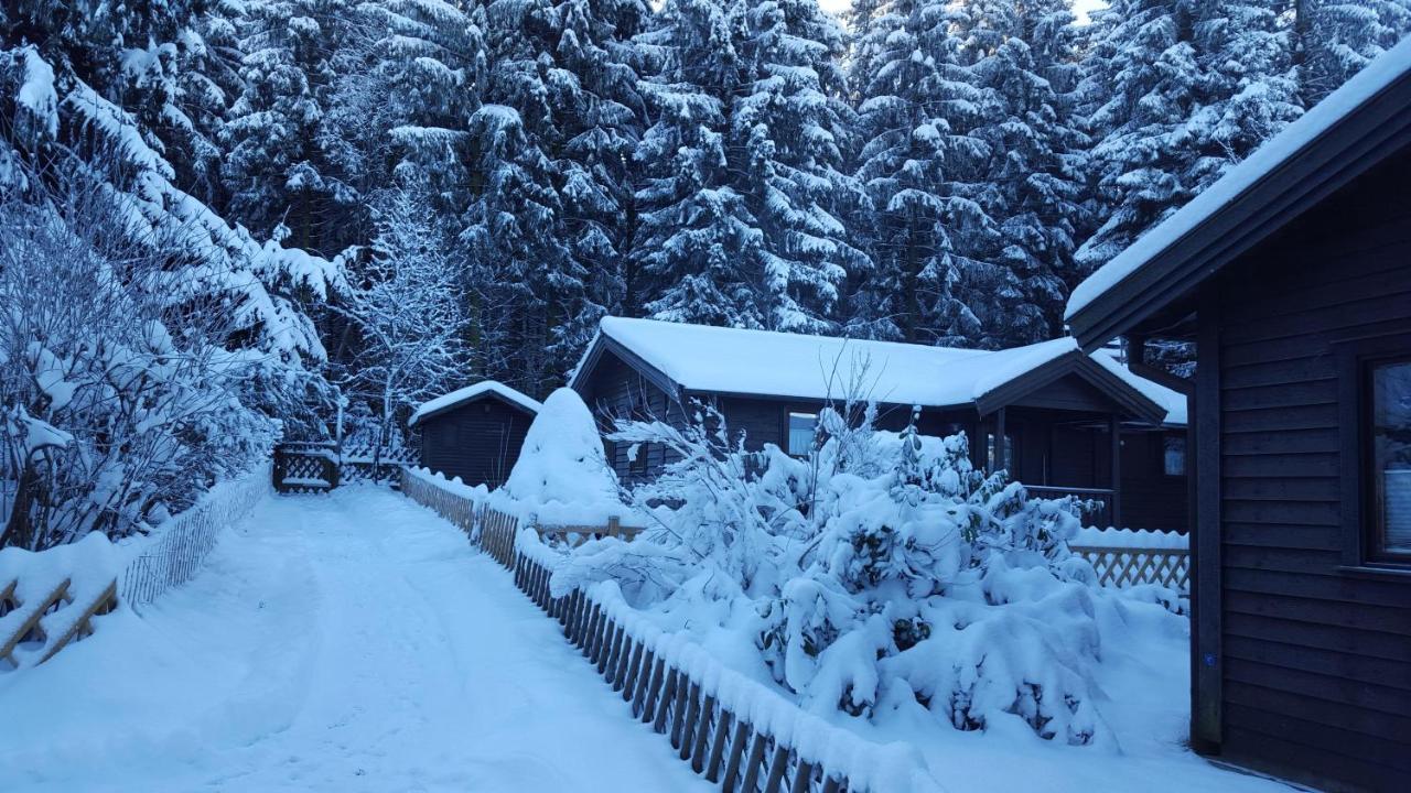 Waldsee-Ferienhaus-Mit-Kamin-W-Lan Clausthal-Zellerfeld Exterior foto
